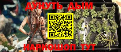 марихуана Новозыбков