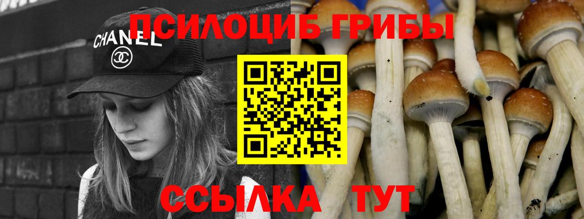 Псилоцибиновые грибы MAGIC MUSHROOMS  Вход с VPN  Тавда 